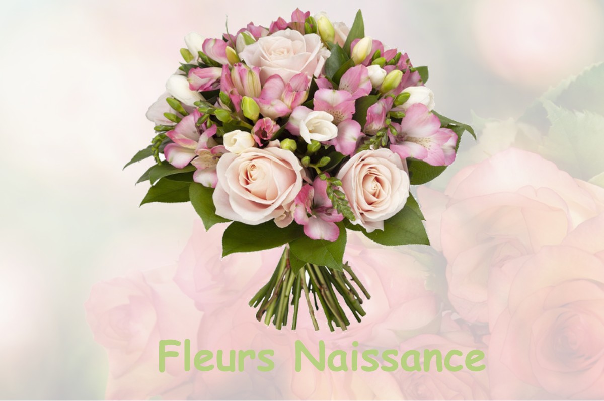 fleurs naissance AIGNES