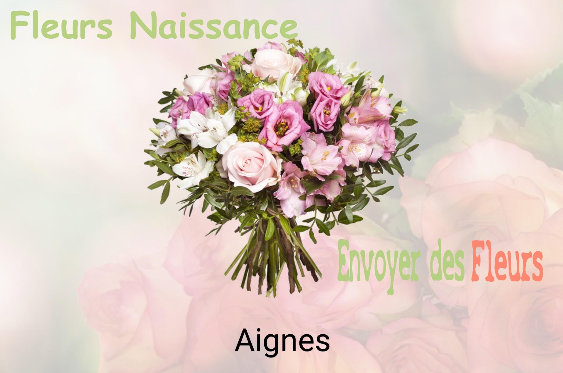 Bouquet de fleurs de naissance livré à Aignes