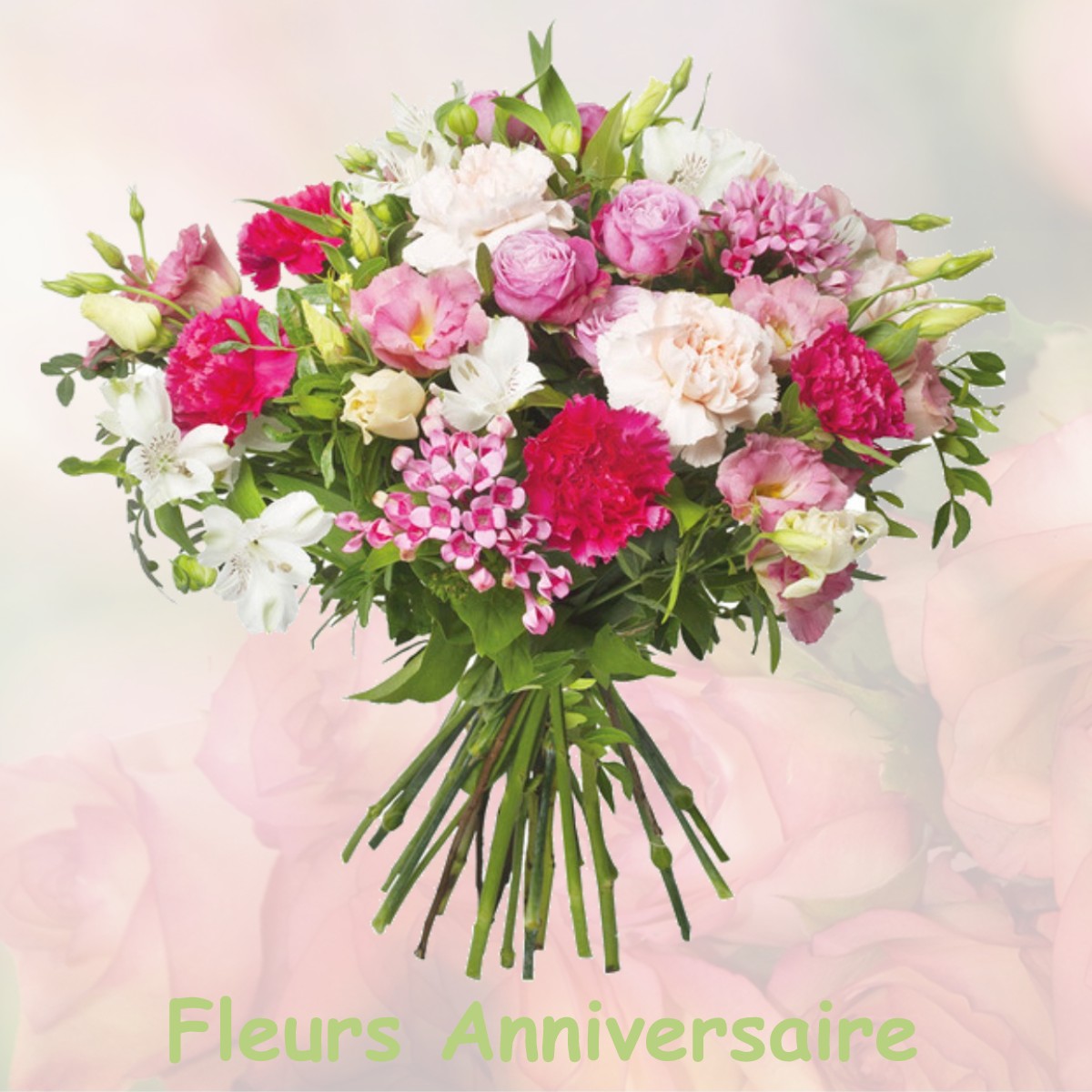 fleurs anniversaire AIGNES