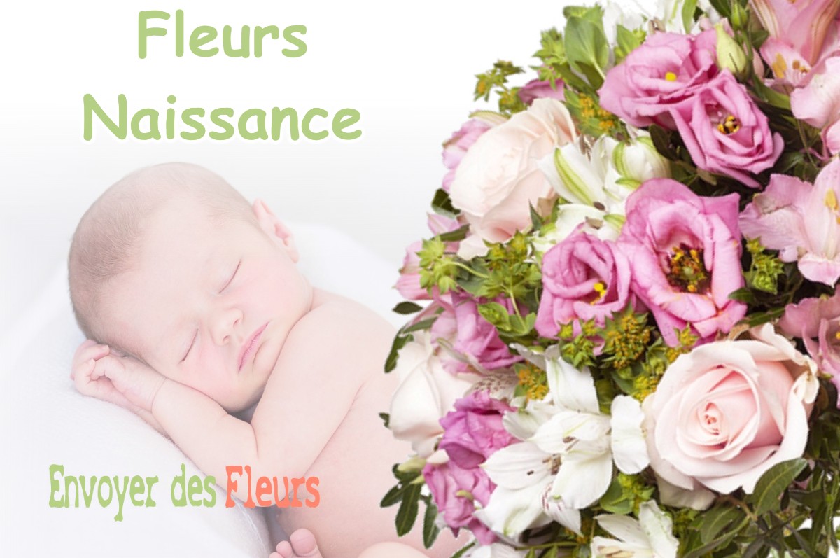 lIVRAISON FLEURS NAISSANCE à AIGNES